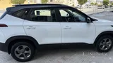 Kia Seltos 2022 lady driven