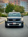 Kia ​​Telluride GT-Line 2024 Original paint