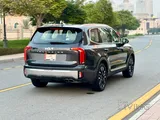 Kia ​​Telluride GT-Line 2024 Original paint
