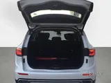 KOLEOS 2.5