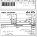 Lady Driven Renault Duster 2014