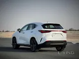 Lexus NX-350 2022 V4 Brand New