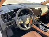Lexus NX-350 2022 V4 Brand New