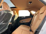 Lexus NX-350 2022 V4 Brand New