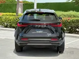 Lexus NX 350 2024