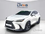Lexus NX 350 2024