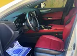 Lexus NX 350 2024