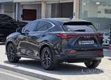 Lexus NX-350 2024 V4