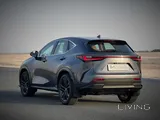 Lexus NX-350H 2026 V4 Brand New