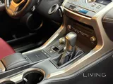 Lexus NX300 2019
