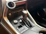 Lexus NX300 2019