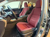 Lexus NX300 2019