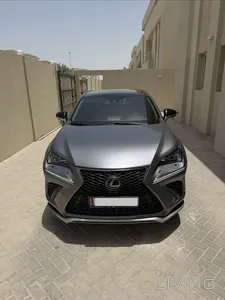Lexus NX 300  2021