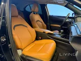 Lexus UX-200 2022 V4