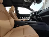 Lexus UX-300h 2024 Brand New