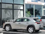 Lexus UX-300h 2024 Brand New