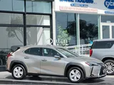 Lexus UX-300h 2024 Brand New