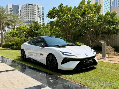 Lotus Emeya  2025