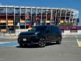 Lynk & Co 09 Pro
