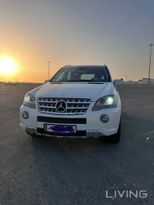 Mercedes ML 350 2010
