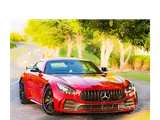 Mercedes GTR 2018