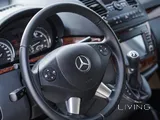 Mercedes Viano 2014