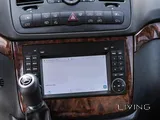 Mercedes Viano 2014