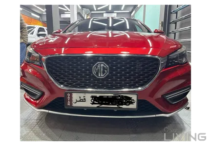 MG 6  2021