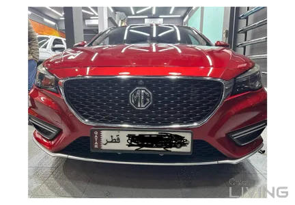 MG 6  2021