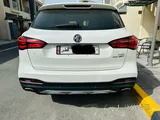 MG HS