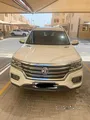 MG RX8 2022 (full option)