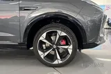 MG WHALE 2.0T 2024 560 كم