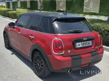Mini copper 2018
