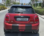 Mini copper 2018