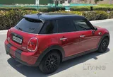 Mini copper 2018