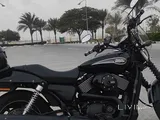 Harley Street 750 – Low KM, Powerful Ride, Excellent Condition – Ready to Go!