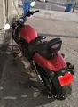 2013 Harley Davidson V-Road in Red - Manual Gear