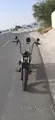 2008 Harley Davidson Fat Boy - Classic Black Motorcycle