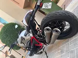 Bmw Motorcycle 