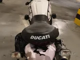 Ducati Scrambler Desert Sled for sale