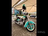 Harley Davidson Dyna Switchback