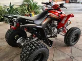 2020 Kymco Mongoose 270 Quad Bike