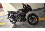 Pulsar Bike