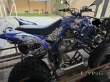 2016 Yamaha Raptor 700R