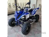 2016 Yamaha Raptor 700R