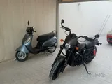 First owner full Insurance street rod 750 Harley Davidson bike