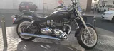 Triumph America 2013
