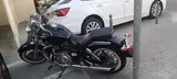 Triumph America 2013