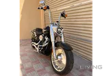 For Sale: 2020 Harley-Davidson Fat Boy 114