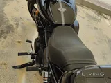 Harley Street 750 – Low KM, Powerful Ride, Excellent Condition – Ready to Go!
